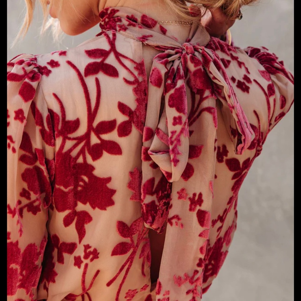 COPY - VICI Calgary velvet floral mini dress